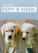 Watch Dog Squad: Puppy School Nowvideo