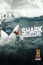 Watch Shark Wranglers Nowvideo
