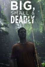 Watch Big, Small & Deadly Nowvideo
