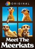 Watch Meet the Meerkats Nowvideo