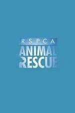 Watch RSPCA Animal Rescue Nowvideo